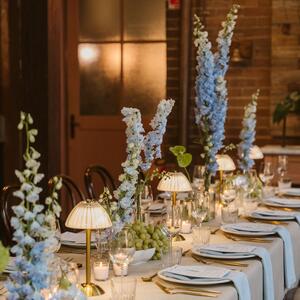 Delphinium & soft light 

Floral Styling: @thegroundsfloralsbysilva 
Venue & Styling: @thegroundsevents @thegrounds 

#delphinium #floralstyling #sydneyflorist #tablescapedesign #eventflorals #eventstyling #sydneyevents #floraldesign #floralinspo #quietluxury #tablescapestyling #luxuryflorals #thegroundsofalexandria