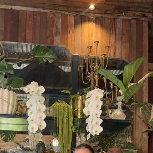 A little insight into what it’s like working at our florist 💐
 Lots of flowers, a little chaos and probably too much laughing!

 
#sydneyflorist #sydneyflowershop #flowerarrangement #familybusiness #thegroundsfloralsbysilva