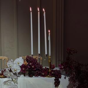 The details that hold you close 

Florals & Styling: @thegroundsfloralsbysilva 
Venue: @thegroundsevents @thegrounds 

#floralstyling #sydneyflorist #tablescapedesign #eventflorals #eventstyling #sydneyevents #floraldesign #floralinspo #quietluxury #tablescapestyling #luxuryflorals