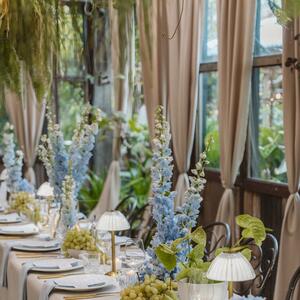 Delphinium, delicately composed 

Floral Styling: @thegroundsfloralsbysilva 
Venue & Styling: @thegroundsevents @thegrounds 

#delphinium #floralstyling #sydneyflorist #tablescapedesign #eventflorals #eventstyling #sydneyevents #floraldesign #floralinspo #quietluxury #tablescapestyling #luxuryflorals #thegroundsofalexandria