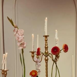 Golden candelabras, calendulas and candlelight ✨

For Jennifer & Alex at Eveleigh, we layered gold candelabras with delicate calendulas, creating warmth, movement and a soft romantic glow across the table.

Designed to feel elevated, intimate and effortlessly refined — where every detail is considered 🤍

Click the link in our bio for all enquiries ☺️

Florals & Styling: @thegroundsfloralsbysilva
Bride & Groom: @jennapher_d & @alexdarjani 
Venue: Eveleigh

#eveleighwedding #sydneyweddingflorist #luxuryweddingflorist #weddingstyling #eventstyling
