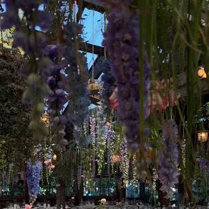 The room, reimagined in bloom 

Florals: @thegroundsfloralsbysilva 
Venue & Styling: @thegrounds @thegroundsevents 
-
-
#eventstyling #eventdesign #floralinstallation #gardeninspired #bridgertoninspired #immersiveevent #floraldesign #eventflorist