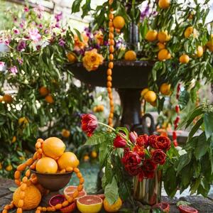 Provincial colours and sweet citrus 🍋🍊🌿 Did you know we hand-threaded this garland using hundreds of cumquats? Created to celebrate the launch of the Guess Spring Summer collection, we had the most incredible time designing and styling this spectacular event. Hosted in the Arbour, we used fragrant blooms including tangerine orchids, peach-coloured roses, scarlet parrot tulips and citrus leaf to bring this installation to life.

Client: @guess
Floral Styling: @thegroundsfloralsbysilva
Styling: @jacquiivesstylist
Venue: @thegrounds // @thegroundsevents
Photography: @thehassanabdallah

#TheGroundsFloralsBySilva