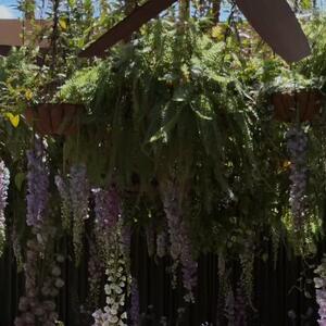 A beautiful day, full of subtle magic ✨

Floral styling: @thegroundsfloralsbysilva 
Bride: @lucia_kanaan 
Venue: @thegroundsevents // @thegrounds 

-
-
#weddinginspo #weddingflowers #floraldesign #eventflorals #weddingdetails #tablescapeinspo #floralarrangements #weddingdecor #flowerstyling #weddingday