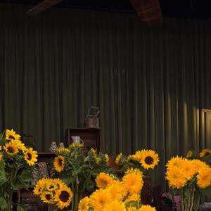 Teddy bear sunflowers with their classic counterparts coming together with quiet warmth 🌻✨☀️

 

#floraldesign #floristry #floralinspiration #sunflowerseason #sunflowerinspiration #floralprocess #sydneyflorist #flowerreels #australianflorist #thegroundsfloralsbysilva #artfulflorals #floralstyling #flowerarranging