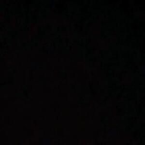 Whimsical Vibes in the Atrium 💫

#thegroundsfloralsbysilva #florist #sydneyflorist #thegroundsofalexandria