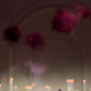 Selina & Michael 25.10.25 
-
Grateful and honoured to be able to flower such a momentous moment for such an amazing couple ❤️

Bride: @selina.youkhanna 
Florals & Styling: @thegroundsfloralsbysilva 
Venue: @thegroundsevents // @thegrounds 

#thegroundsfloralsbysilva #floraldesign #weddingflowers #eventflorist #weddinginspo #floralstyling #sydneyflorist #2025weddings