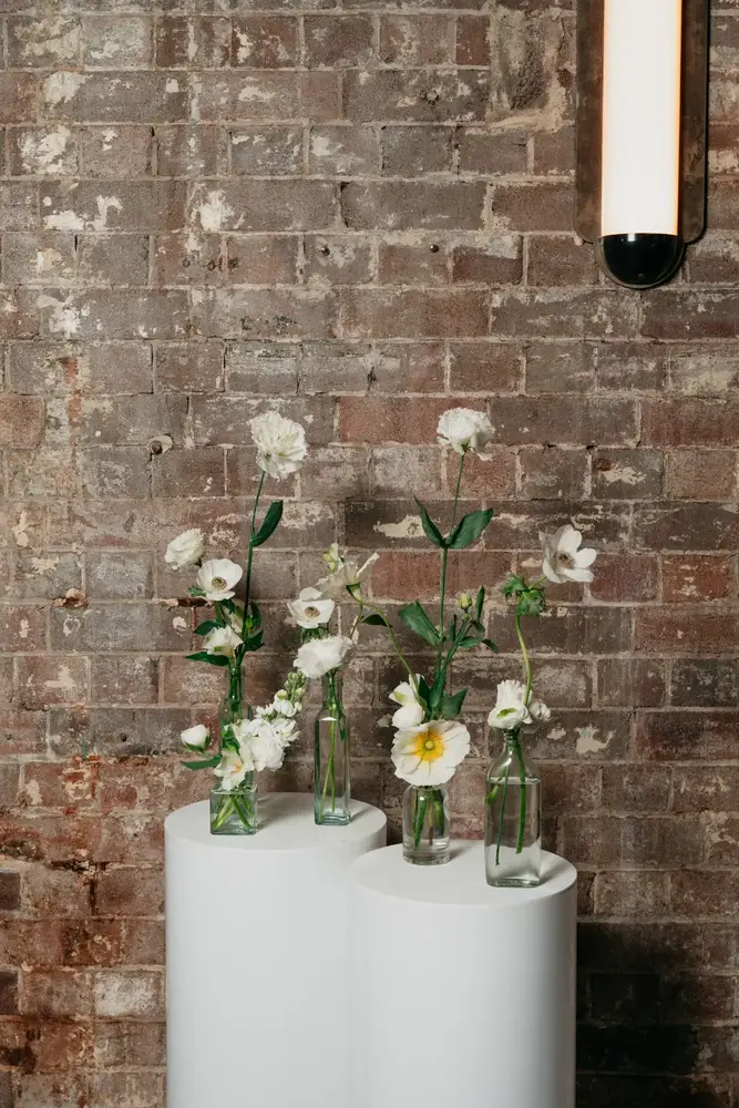 Jar Garden thumbnail