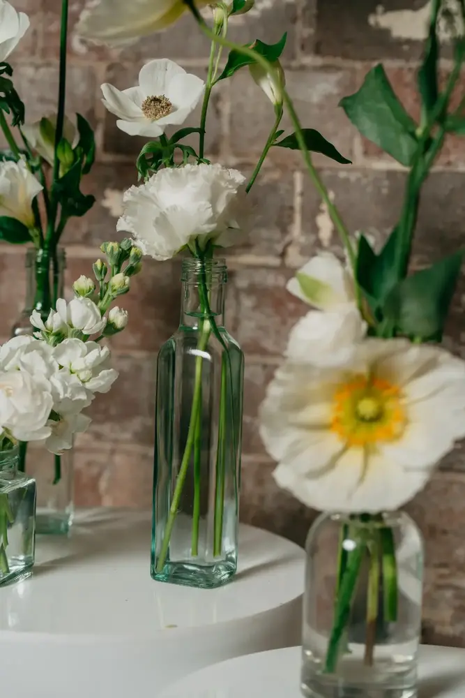 1. Jar Garden thumbnail