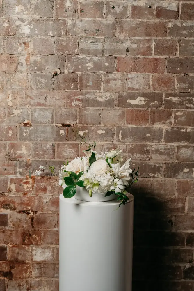 Low & Round Medium Arrangement thumbnail